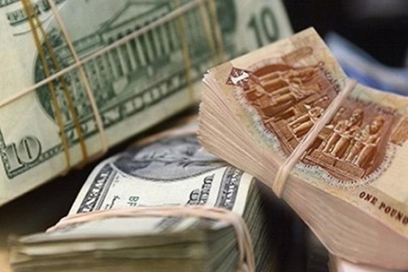 مصر تحدد سعر الدولار عند 17.5 جنيه في الموازنة الجديده